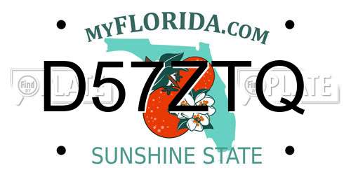 D57ZTQ Florida License Plate
