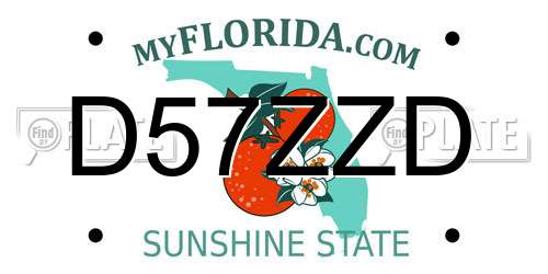 D57ZZD Florida License Plate