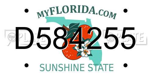 D584255 Florida License Plate