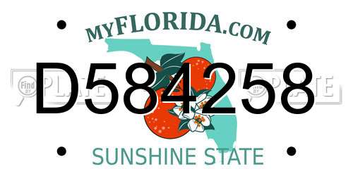 D584258 Florida License Plate