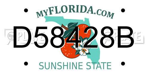 D58428B Florida License Plate