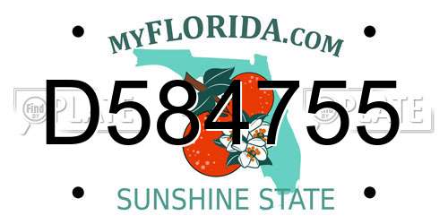 D584755 Florida License Plate