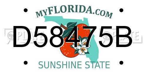 D58475B Florida License Plate