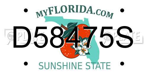 D58475S Florida License Plate