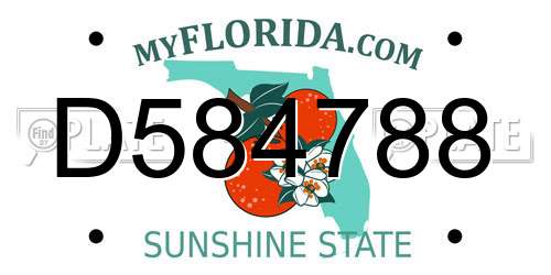 D584788 Florida License Plate
