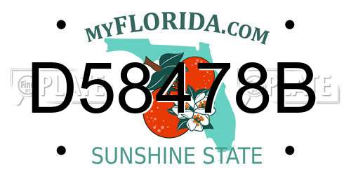 D58478B Florida License Plate