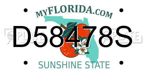 D58478S Florida License Plate