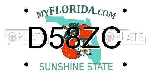 D58ZC Florida License Plate