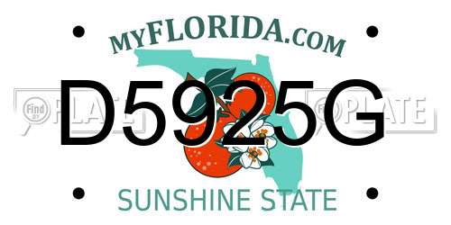 D5925G Florida License Plate