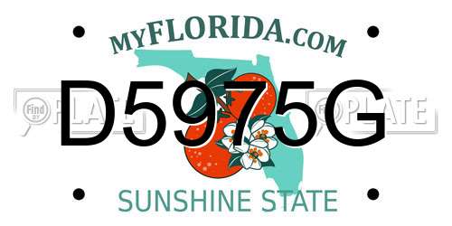 D5975G Florida License Plate