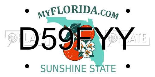 D59FYY Florida License Plate