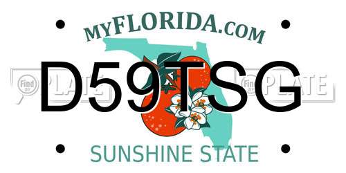D59TSG Florida License Plate