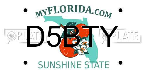 D5BTY Florida License Plate