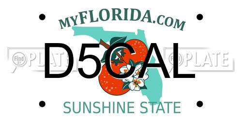 D5CAL Florida License Plate