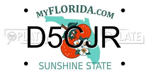 D5CJR Florida License Plate
