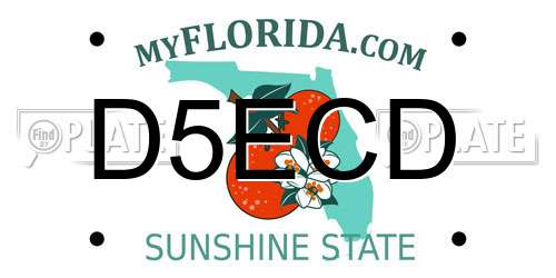 D5ECD Florida License Plate
