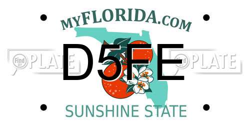 D5FE Florida License Plate