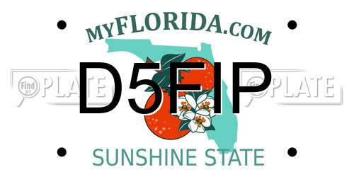 D5FIP Florida License Plate