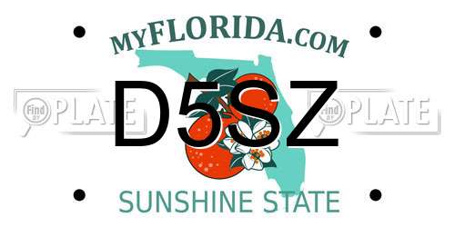 D5SZ Florida License Plate