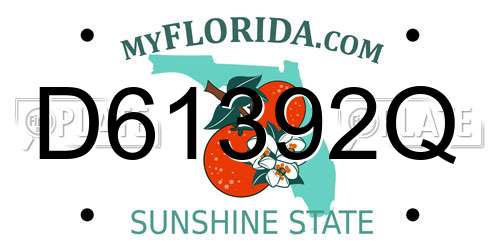D61392Q Florida License Plate