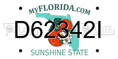 D62342I Florida License Plate