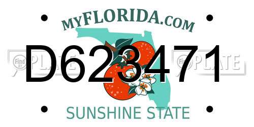 D623471 Florida License Plate