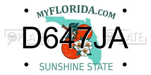 D647JA Florida License Plate