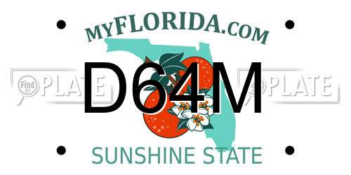 D64M Florida License Plate