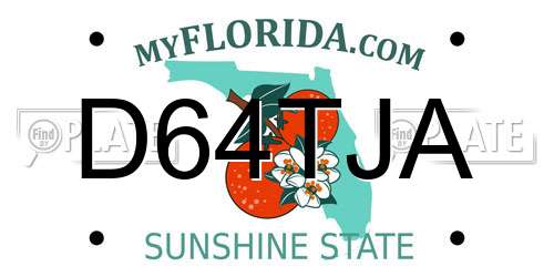 D64TJA Florida License Plate