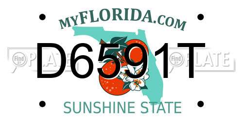 D6591T Florida License Plate