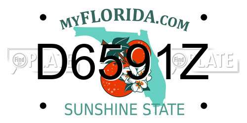 D6591Z Florida License Plate