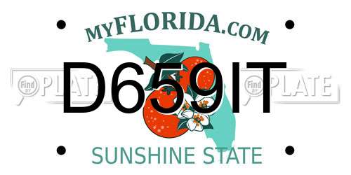 D659IT Florida License Plate