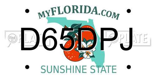 D65DPJ Florida License Plate