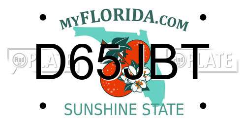 D65JBT Florida License Plate