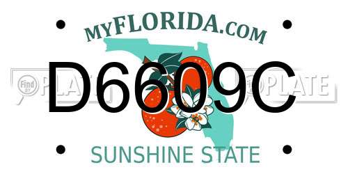 D6609C Florida License Plate