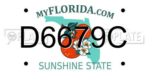 D6679C Florida License Plate