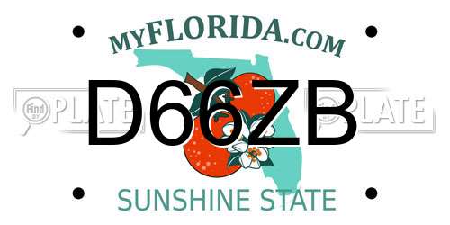 D66ZB Florida License Plate