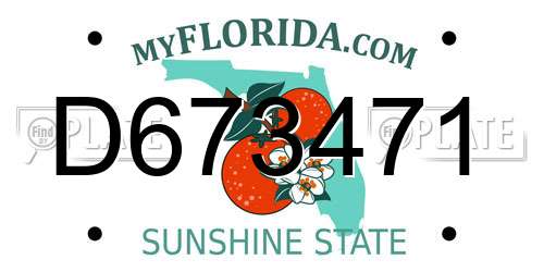 D673471 Florida License Plate