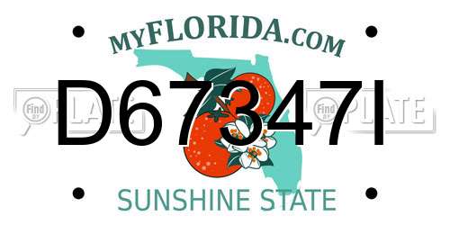 D67347I Florida License Plate