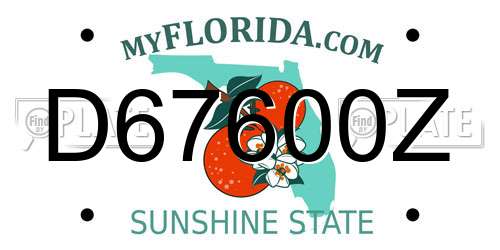 D67600Z Florida License Plate