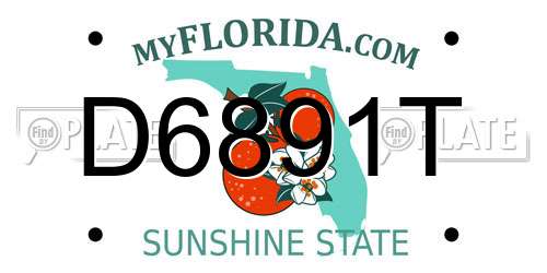 D6891T Florida License Plate