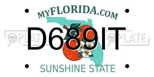 D689IT Florida License Plate