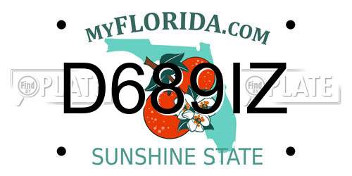 D689IZ Florida License Plate