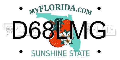 D68LMG Florida License Plate