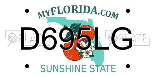 D695LG Florida License Plate