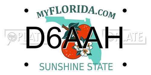 D6AAH Florida License Plate