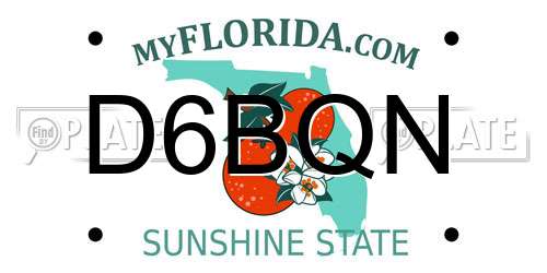 D6BQN Florida License Plate