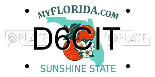 D6CIT Florida License Plate