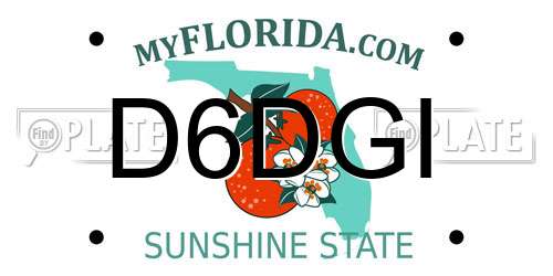 D6DGI Florida License Plate