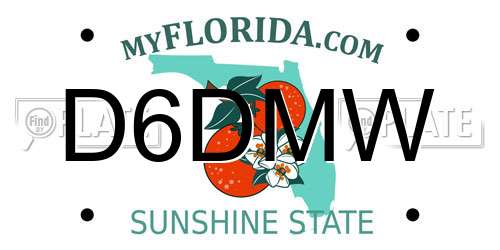 D6DMW Florida License Plate